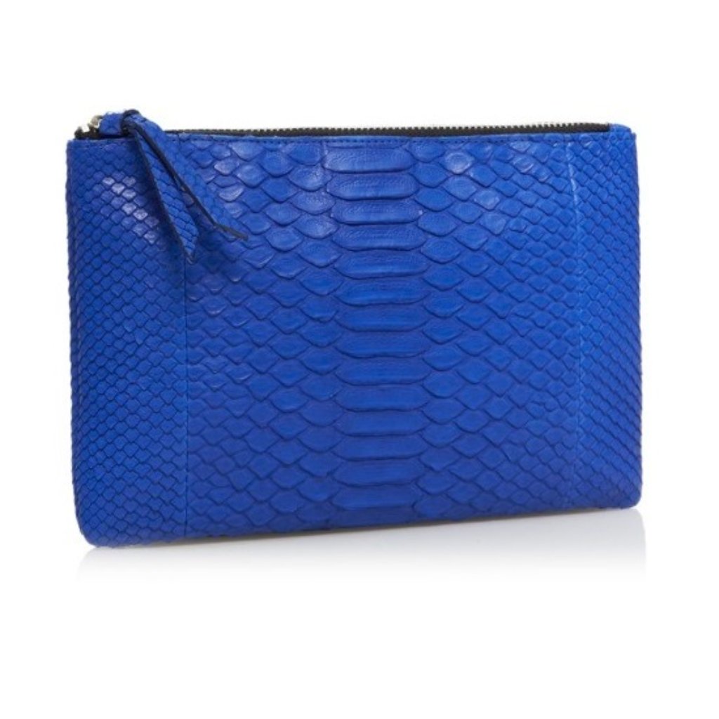 New Blue Camille Zarsky Python Pouch
